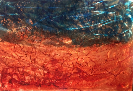 Red Sky at Night 2019